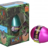 Uovo di koala che cresce 6,5 cm