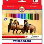Matite colorate triangolari KOH-I-NOOR TRIOCOLOR, 36 pz