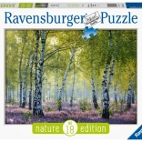 Puzzle Foresta Betulla 1000 pezzi Ravensburger