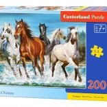 Puzzle 200 pezzi Call of Nature