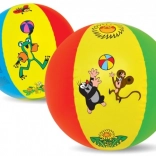 Pallone da spiaggia gonfiabile TALPA 51 cm