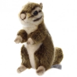 Pastiglie freno per asse anteriore