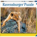 Puzzle Ravensburger Piccolo leone 200 pezzi
