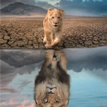 Puzzle 300 pezzi - Autoriflessione