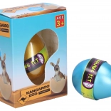 Uovo con canguro in crescita