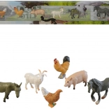 Animali in scatola Domestici