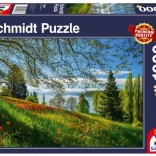 Puzzle Tulipani in fiore sull'isola di Mainau 1000 pezzi