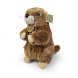 Marmotta di peluche 23 cm eco-friendly