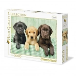 Puzzle 1000 pezzi Tre Labrador