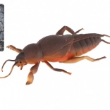 Lucertola antistress allungabile in TPR 18 cm