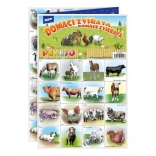 Pexeso Animali Domestici