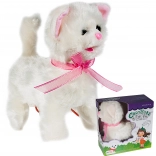 Gattino al guinzaglio con telecomando