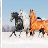 Pittura con diamanti Trio di cavalli 30x40cm