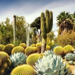 Puzzle 1000 pezzi – giardino desertico HUNTINGTON, USA