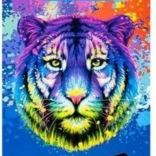 Matite colorate triangolari Triocolor 36 pz di KOH-I-NOOR - tigre