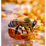 Calendario apistico da parete 2026