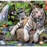Puzzle Tigri Bianchi 1000 pezzi