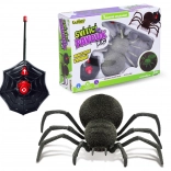 Ragno RC luminoso 20 cm