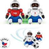Calcio robotico a telecomando