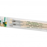 Set di pennelli per pittura