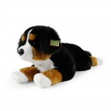 Cane da montagna bernese di peluche disteso 61 cm eco-friendly
