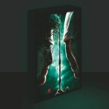 Immagine LED Luminoso 30x40, Harry Potter - Harry vs. Voldemort