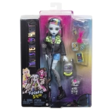 Bambola Monster High Frankie Stein con accessori