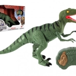 Dinosauro deambulante Velociraptor con telecomando