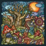 Puzzle quadrato CURIOSI Palapeli: Foresta incantata, 210 pezzi