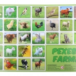 Pexeso Fattoria – gioco di memoria con animaletti