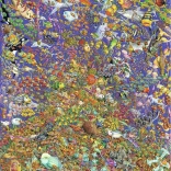 Puzzle Ravensburger Barriera Corallina 1500 pezzi