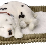Dalmatino realistico che respira PERFECT PETZZZ da adottare