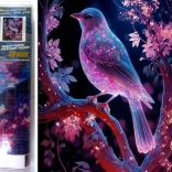 Norimpex pittura diamantata Gufo notturno 30x40 cm