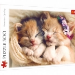 Puzzle 500 pezzi gattini che dormono Trefl