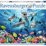 Puzzle 500 pezzi – delfini RAVENSBURGER