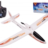 WLtoys Sky King F959S a 2,4GHz aereo RC