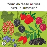 Yummy! gioco educativo sull’alimentazione sana per bambini dai 3 anni