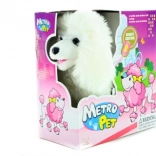 cagnolino a filo che cammina con coda scodinzolante