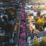 Puzzle Ravensburger 1500 pezzi Bonn, Germania