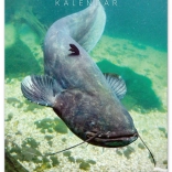 Calendario da muro Pesca 2026