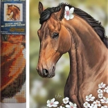 Norimpex pittura di diamante Cavallo con fiori 30x40 cm