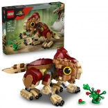 Lego Jurassic World cucciolo di dinosauro Dolores Aquilops set di costruzione