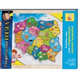 mappa magnetica Polonia I'M A GENIUS