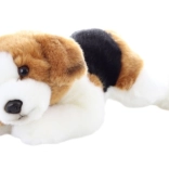 Beagle di peluche eco friendly 23 cm