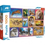 Puzzle Natura selvaggia 1000 pezzi