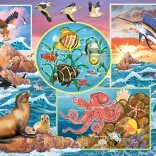 Puzzle di famiglia Incanto dell’oceano 350 pezzi COBBLE HILL
