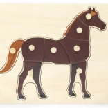 Puzzle Montessori in legno Cavallo VIGA