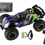 Auto RC Buggy con controllo della velocità e batteria ricaricabile