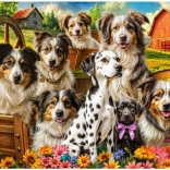 Puzzle Castorland cani felici in campagna 1000 pezzi