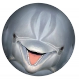 Palla subacquea SPORTO – delfino per piscina e giardino